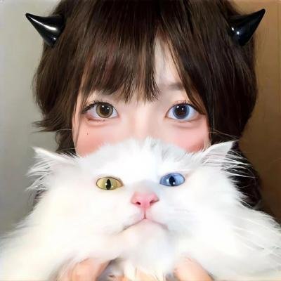 御猫三戏锦毛鼠粤语