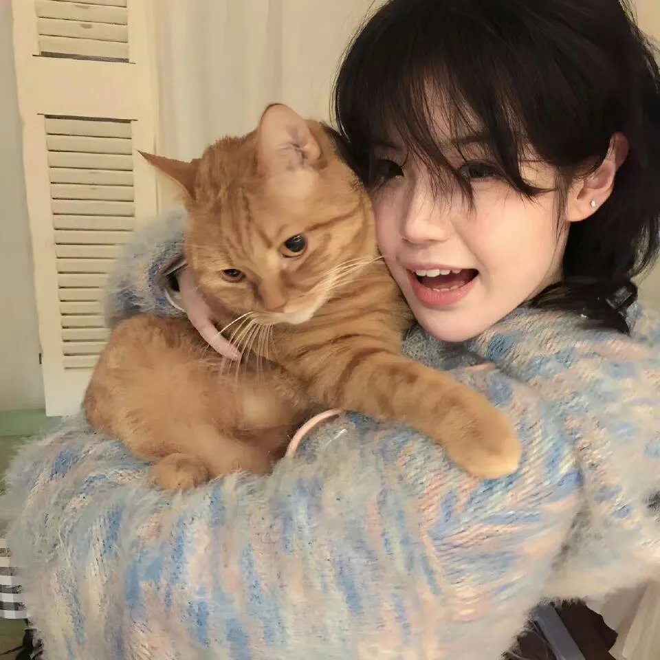 哈林教父第四季