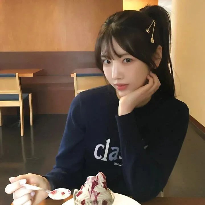 七小汪警犬队2023